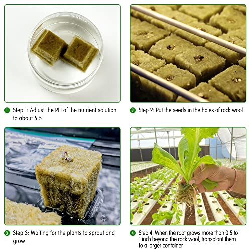 CastleGreens 1inch Rockwool Grow Cubes, Starter Plugs for Plant Growing, Great for Rooting, Cuttings, Clone Plants, Germination Start Seeds, Ideal Hydroponic Grow Media(4 Sheets, 200 Cubes Total) 3 CastleGreens 1inch Rockwool Grow Cubes, Starter Plugs for Plant Growing, Great for Rooting, Cuttings, Clone Plants, Germination Start Seeds, Ideal Hydroponic Grow Media(4 Sheets, 200 Cubes Total) - Image 3