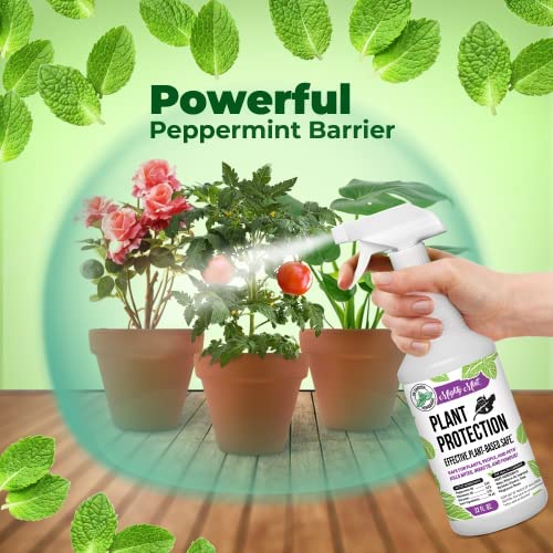 Mighty Mint 32oz Plant Protection Peppermint Spray for Spider Mites, Insects, Fungus, and Disease 3 Mighty Mint 32oz Plant Protection Peppermint Spray for Spider Mites, Insects, Fungus, and Disease - Image 3