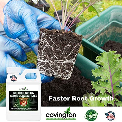 Clone & Seed Starter Solution 7 Clone & Seed Starter Solution - Image 7