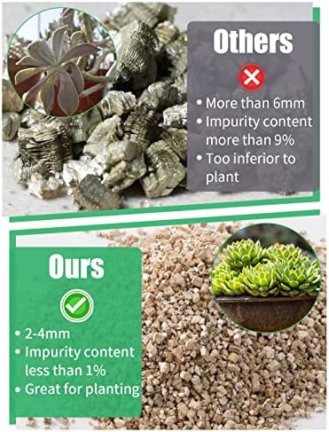 Organic Vermiculite Bulk, Horticultural Vermiculite for Plants, Soil Additive for Potted Plants, Vermiculite Coarse Hydroponic for Succulent Orchid Gardening Reptiles 3Qt 2 Organic Vermiculite Bulk, Horticultural Vermiculite for Plants, Soil Additive for Potted Plants, Vermiculite Coarse Hydroponic for Succulent Orchid Gardening Reptiles 3Qt - Image 2