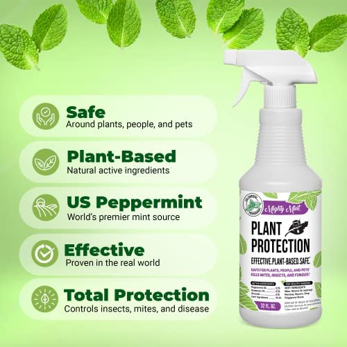 Mighty Mint 32oz Plant Protection Peppermint Spray for Spider Mites, Insects, Fungus, and Disease 2 Mighty Mint 32oz Plant Protection Peppermint Spray for Spider Mites, Insects, Fungus, and Disease - Image 2