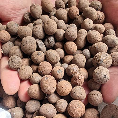 Expanded Clay Pebbles Hydroponic Rocks Organic Ceramsite Grow Media for Horticultural,Orchids,Drainage, Decor Cultivation (0.3-0.5in, 12 LBS) 2 Expanded Clay Pebbles Hydroponic Rocks Organic Ceramsite Grow Media for Horticultural,Orchids,Drainage, Decor Cultivation (0.3-0.5in, 12 LBS) - Image 2