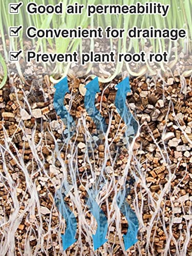 Organic Vermiculite Bulk, Horticultural Vermiculite for Plants, Soil Additive for Potted Plants, Vermiculite Coarse Hydroponic for Succulent Orchid Gardening Reptiles 3Qt 4 Organic Vermiculite Bulk, Horticultural Vermiculite for Plants, Soil Additive for Potted Plants, Vermiculite Coarse Hydroponic for Succulent Orchid Gardening Reptiles 3Qt - Image 4