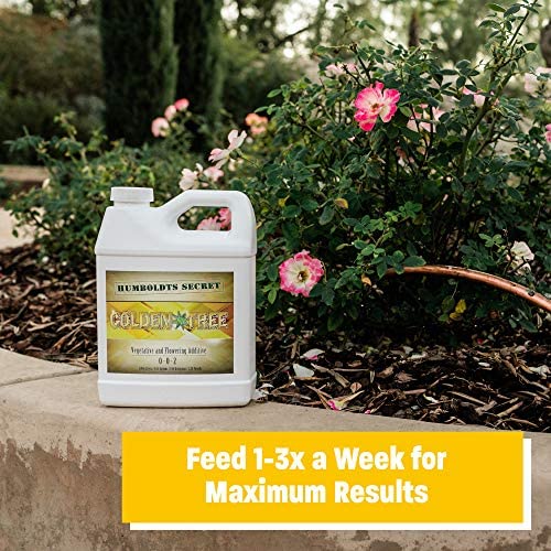 Humboldts Secret Golden Tree: Best Plant Food for Plants & Trees - All-in-One Concentrated Additive - Vegetables, Flowers, Fruits, Lawns, Roses, Tomatoes & More (1 Gallon) 7 Humboldts Secret Golden Tree: Best Plant Food for Plants & Trees - All-in-One Concentrated Additive - Vegetables, Flowers, Fruits, Lawns, Roses, Tomatoes & More (1 Gallon) - Image 7