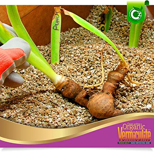 Organic Coarse Vermiculite - Made in USA for All Indoor/Outdoor Plants & Organic Gardens - Horticultural Soil Amendment Additive Conditioner Grow Media for Hydroponics, Mushroom Cultivation and more! 4 Organic Coarse Vermiculite - Made in USA for All Indoor/Outdoor Plants & Organic Gardens - Horticultural Soil Amendment Additive Conditioner Grow Media for Hydroponics, Mushroom Cultivation and more! - Image 4