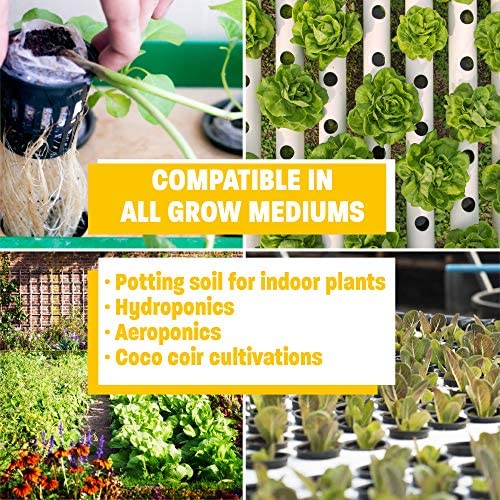 Humboldts Secret Golden Tree: Best Plant Food for Plants & Trees - All-in-One Concentrated Additive - Vegetables, Flowers, Fruits, Lawns, Roses, Tomatoes & More (1 Gallon) 6 Humboldts Secret Golden Tree: Best Plant Food for Plants & Trees - All-in-One Concentrated Additive - Vegetables, Flowers, Fruits, Lawns, Roses, Tomatoes & More (1 Gallon) - Image 6
