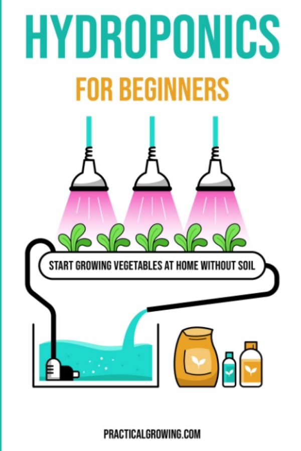 Hydroponics for Beginners: Start Growing Vegetables at Home Without ...