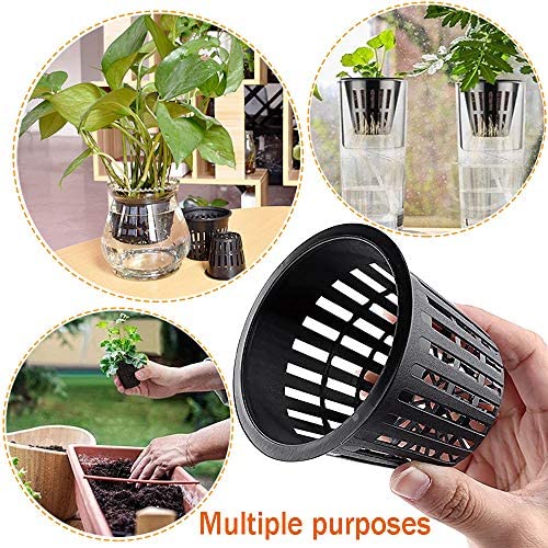 Baaxxango 50 PCS 3 Inch Heavy Duty Net Pots,Hydroponic Cups,Garden Slotted Mesh Net Cups,Plant Nursery Net Pots for Hydroponics,Slotted Mesh 5 Baaxxango 50 PCS 3 Inch Heavy Duty Net Pots,Hydroponic Cups,Garden Slotted Mesh Net Cups,Plant Nursery Net Pots for Hydroponics,Slotted Mesh - Image 5