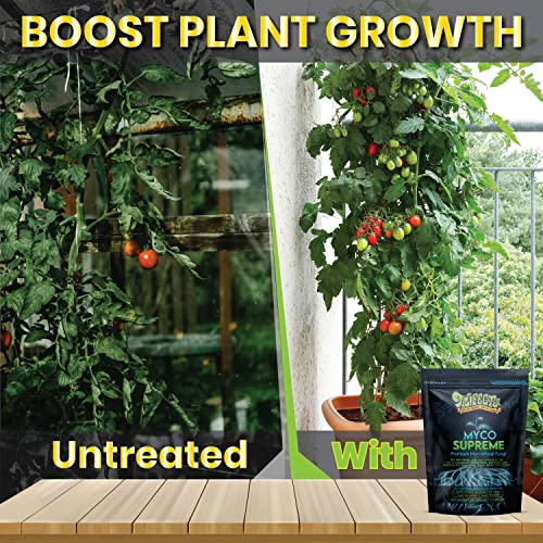 Mycorrhizal Fungi Root Enhancer for Plants - Bigger, Stronger, Healthier Roots, Use in Soil and Mycorrhizae Hydroponic - Super 20X Concentrated - Trifecta Myco Supreme (57 Grams / 2 OZ) 4 Mycorrhizal Fungi Root Enhancer for Plants - Bigger, Stronger, Healthier Roots, Use in Soil and Mycorrhizae Hydroponic - Super 20X Concentrated - Trifecta Myco Supreme (57 Grams / 2 OZ) - Image 4