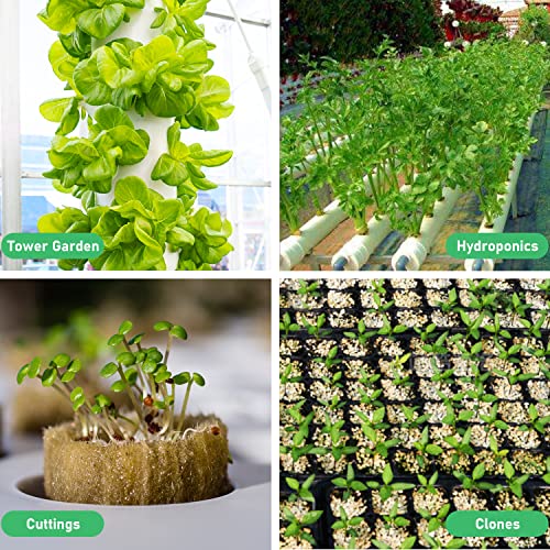 Future Way 1.5" Rockwool Cubes with Holes, Starter Plugs for Hydroponics, Easy to Transplant and Cut by Scissors, 4 Sheets of 49 Plugs, 196 Plugs Total 7 Future Way 1.5" Rockwool Cubes with Holes, Starter Plugs for Hydroponics, Easy to Transplant and Cut by Scissors, 4 Sheets of 49 Plugs, 196 Plugs Total - Image 7