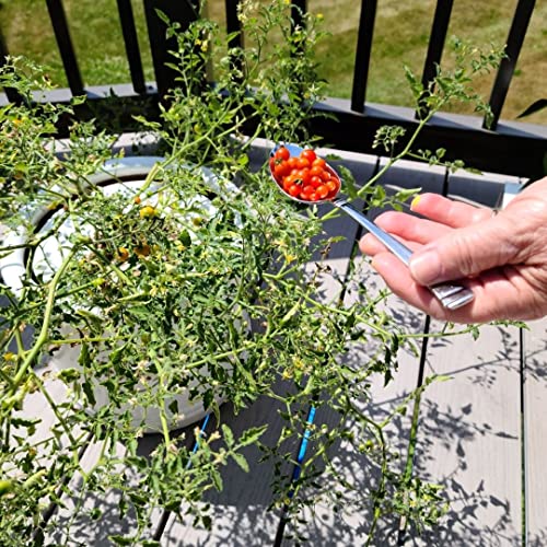 Go Grow Hydroponic Nutrients for All Veggies, Leafy Greens, Herbs and Flowers 1 Gallon - 10 Pack (10 Gallons) 5 Go Grow Hydroponic Nutrients for All Veggies, Leafy Greens, Herbs and Flowers 1 Gallon - 10 Pack (10 Gallons) - Image 5