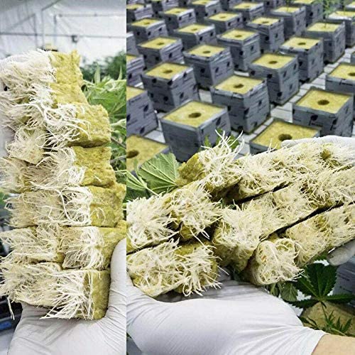 Hydroponics Cutting Cubes Tray, 50pcs Cultivation Compress Base Grow Sheet Block Rockwool Cubes Soilless 4 Hydroponics Cutting Cubes Tray, 50pcs Cultivation Compress Base Grow Sheet Block Rockwool Cubes Soilless - Image 4