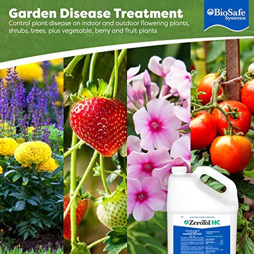 BioSafe Systems ZeroTol HC, Broad Spectrum Algaecide, Bactericide, and Fungicide, Peroxyacetic Acid, Kills Mold, Single 6200-1, 1 Gallon, Case of 4 3 BioSafe Systems ZeroTol HC, Broad Spectrum Algaecide, Bactericide, and Fungicide, Peroxyacetic Acid, Kills Mold, Single 6200-1, 1 Gallon, Case of 4 - Image 3