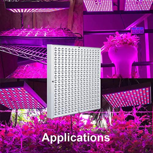 75W LED Grow Light for Indoor Plants Growing Lamp 225 LEDs UV IR Red Blue Full Spectrum Plant Lights Bulb Panel for Hydroponics Greenhouse Seedling Veg and Flower by Venoya 5 75W LED Grow Light for Indoor Plants Growing Lamp 225 LEDs UV IR Red Blue Full Spectrum Plant Lights Bulb Panel for Hydroponics Greenhouse Seedling Veg and Flower by Venoya - Image 5