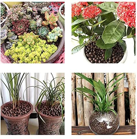 Expanded Clay Pebbles Hydroponic Rocks Organic Ceramsite Grow Media for Horticultural,Orchids,Drainage, Decor Cultivation (0.3-0.5in, 12 LBS) 5 Expanded Clay Pebbles Hydroponic Rocks Organic Ceramsite Grow Media for Horticultural,Orchids,Drainage, Decor Cultivation (0.3-0.5in, 12 LBS) - Image 5