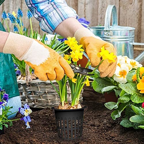 20 Pcs 4 Inch Plastic Net Cups Pots Plant Containers for Hydroponics Aquaponics Orchids, Black 6 20 Pcs 4 Inch Plastic Net Cups Pots Plant Containers for Hydroponics Aquaponics Orchids, Black - Image 6