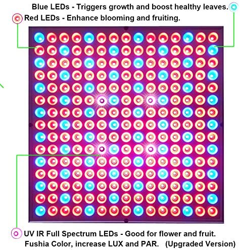 75W LED Grow Light for Indoor Plants Growing Lamp 225 LEDs UV IR Red Blue Full Spectrum Plant Lights Bulb Panel for Hydroponics Greenhouse Seedling Veg and Flower by Venoya 2 75W LED Grow Light for Indoor Plants Growing Lamp 225 LEDs UV IR Red Blue Full Spectrum Plant Lights Bulb Panel for Hydroponics Greenhouse Seedling Veg and Flower by Venoya - Image 2