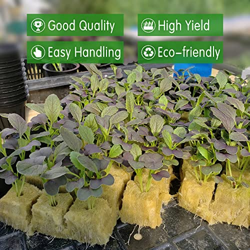CastleGreens 1inch Rockwool Grow Cubes, Starter Plugs for Plant Growing, Great for Rooting, Cuttings, Clone Plants, Germination Start Seeds, Ideal Hydroponic Grow Media(4 Sheets, 200 Cubes Total) 5 CastleGreens 1inch Rockwool Grow Cubes, Starter Plugs for Plant Growing, Great for Rooting, Cuttings, Clone Plants, Germination Start Seeds, Ideal Hydroponic Grow Media(4 Sheets, 200 Cubes Total) - Image 5