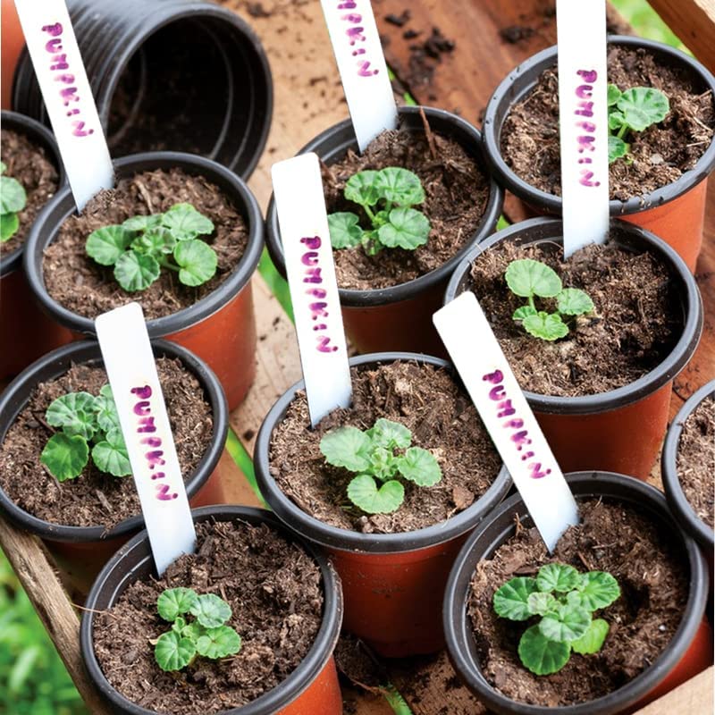 TDHDIKE 4" Plant Pots Small Plastic Plants Nursery Pot/Pots (100pcs) 7 TDHDIKE 4" Plant Pots Small Plastic Plants Nursery Pot/Pots (100pcs) - Image 7