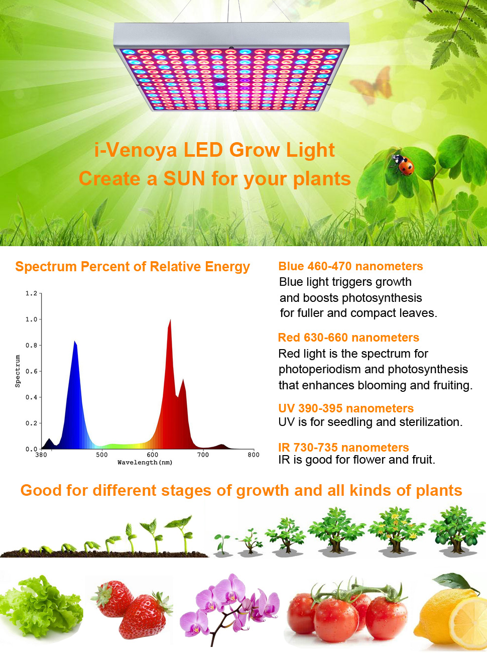 75W LED Grow Light for Indoor Plants Growing Lamp 225 LEDs UV IR Red Blue Full Spectrum Plant Lights Bulb Panel for Hydroponics Greenhouse Seedling Veg and Flower by Venoya 8 45W LED Grow Light for Indoor Plants Growing Lamp 225 LEDs UV IR Red Blue Full Spectrum Plant Lights
