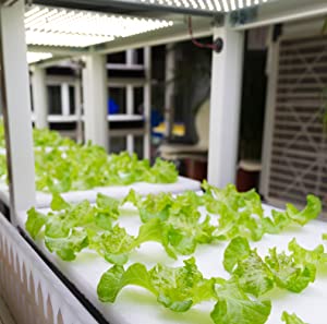 DIY Hydroponic Gardens 3 DIY Hydroponic Gardens How to Design and Build an