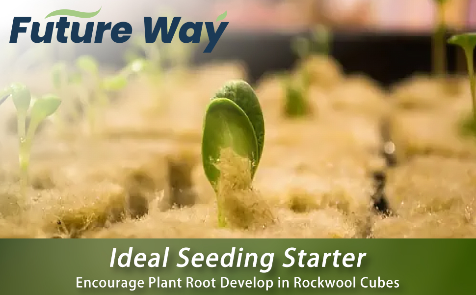 Future Way 1.5" Rockwool Cubes with Holes, Starter Plugs for Hydroponics, Easy to Transplant and Cut by Scissors, 4 Sheets of 49 Plugs, 196 Plugs Total 9 brand