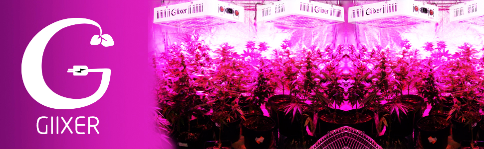Giixer 1000W LED Grow Light, Dual Switch & Dual Chips Full Spectrum LED Grow Light Hydroponic Indoor Plants Veg and Flower-1000 watt ( 10W LEDs 100Pcs) 8 led grow light