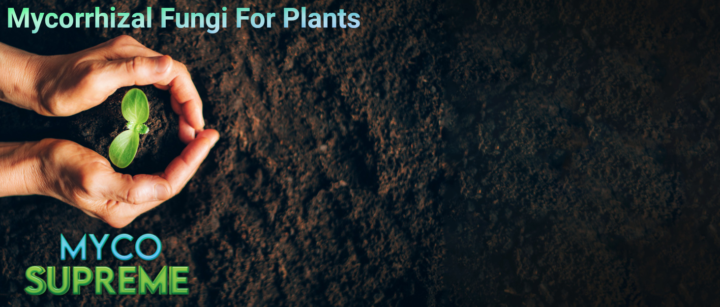 Mycorrhizal Fungi Root Enhancer for Plants - Bigger, Stronger, Healthier Roots, Use in Soil and Mycorrhizae Hydroponic - Super 20X Concentrated - Trifecta Myco Supreme (57 Grams / 2 OZ) 11 Mycorhizzal Fungi