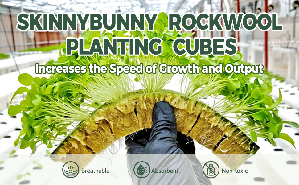 SKINNYBUNNY Rockwool Cubes 1 inch, Rock Wool Planting Cubes with Holes 9 Rock Wool Squares