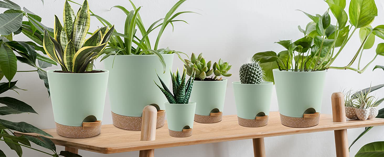 YNNICO Plant Pots Indoor 8/7/6.5/6/5.5/5 Inch Self Watering Planters with Drainage Holes and Saucers, Plastic Flower Pots, Nursery Planting Pot for Indoor Out Door Plants 11 plant pots