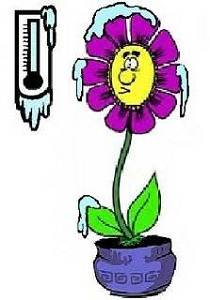 lowtemp