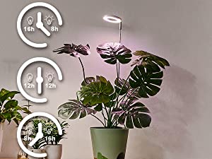 grow light