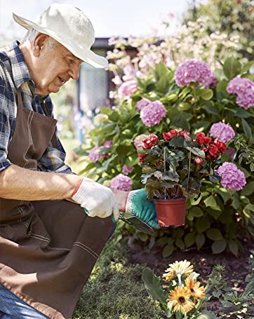 planter pots