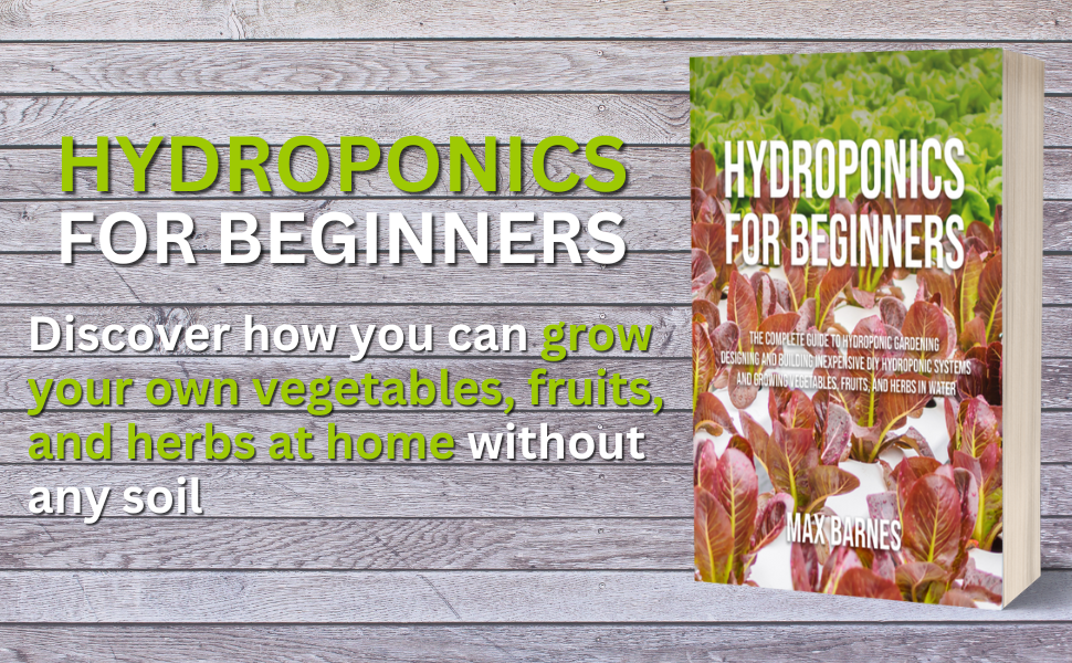 hydroponics for beginners