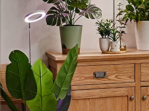 grow light