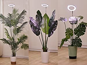 grow light