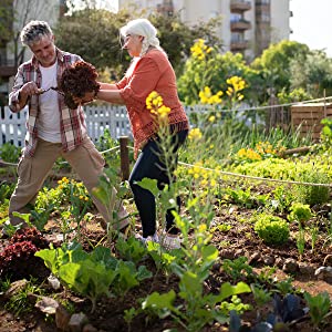 soil meter for Vegetable Garden