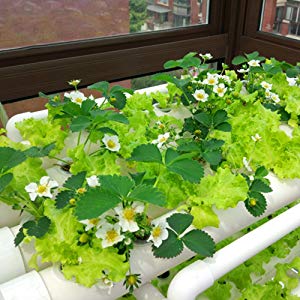 LAPOND A-Type Hydroponics System - 72 Plant Site Indoor Garden Kit With Pump & Timer