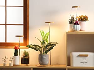 grow light