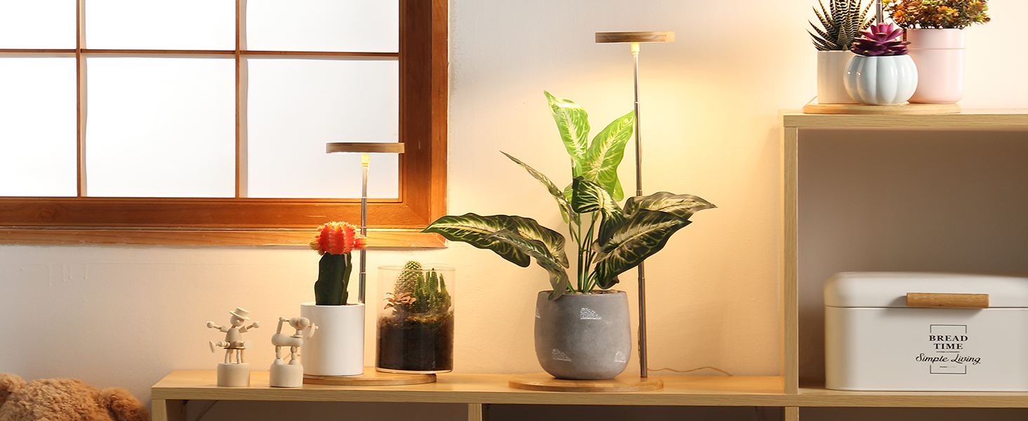 bamboo grow light