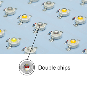dual chips led bulb