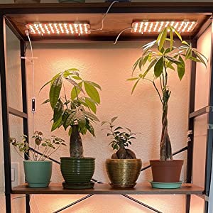 grow lights for indoor plants under cabinet led grow lights full spectrum wall bookshelf