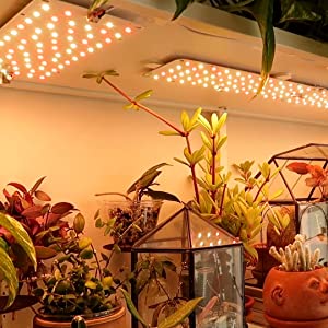 grow lights for indoor plants under cabinet led grow lights full spectrum wall bookshelf