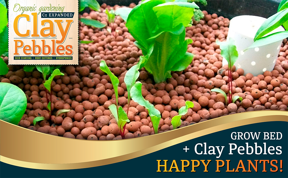 clay pebbles grow bed