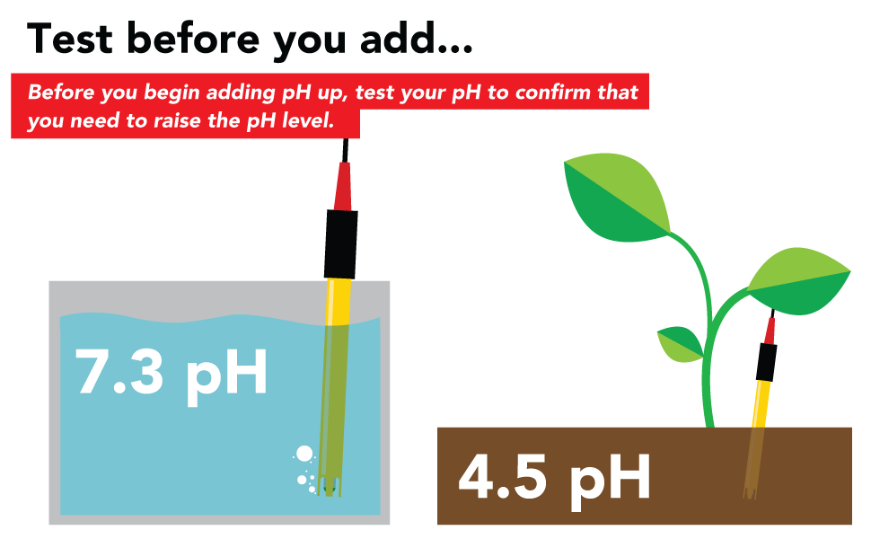 pH Up 3 Liter Box