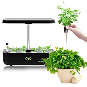  hydroponic garden