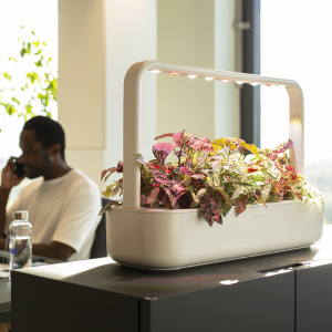 White Smart garden 9 on table with man on phone in background