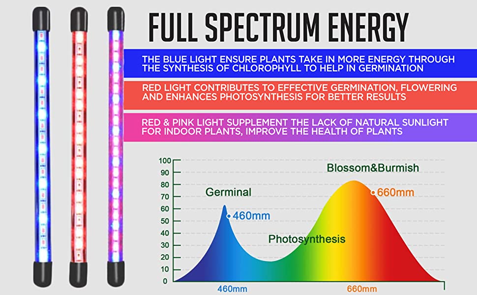 LED Grow Lights