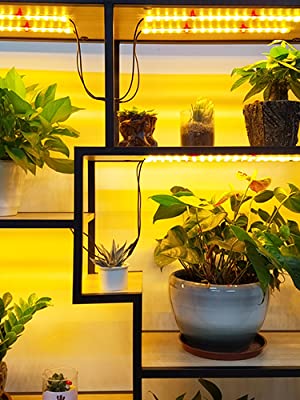 Ganple LED Indoor Grow light Strip Full spectrum