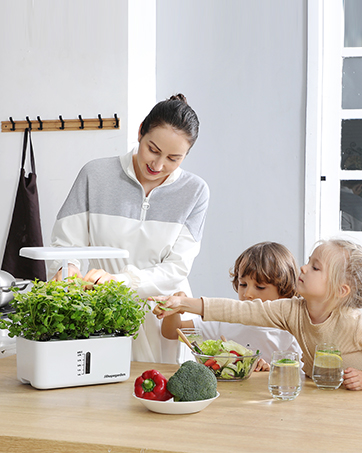 Hydroponic Growing System